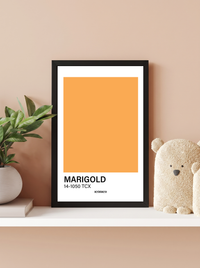 Marigold