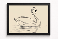 Reflejo Cisne