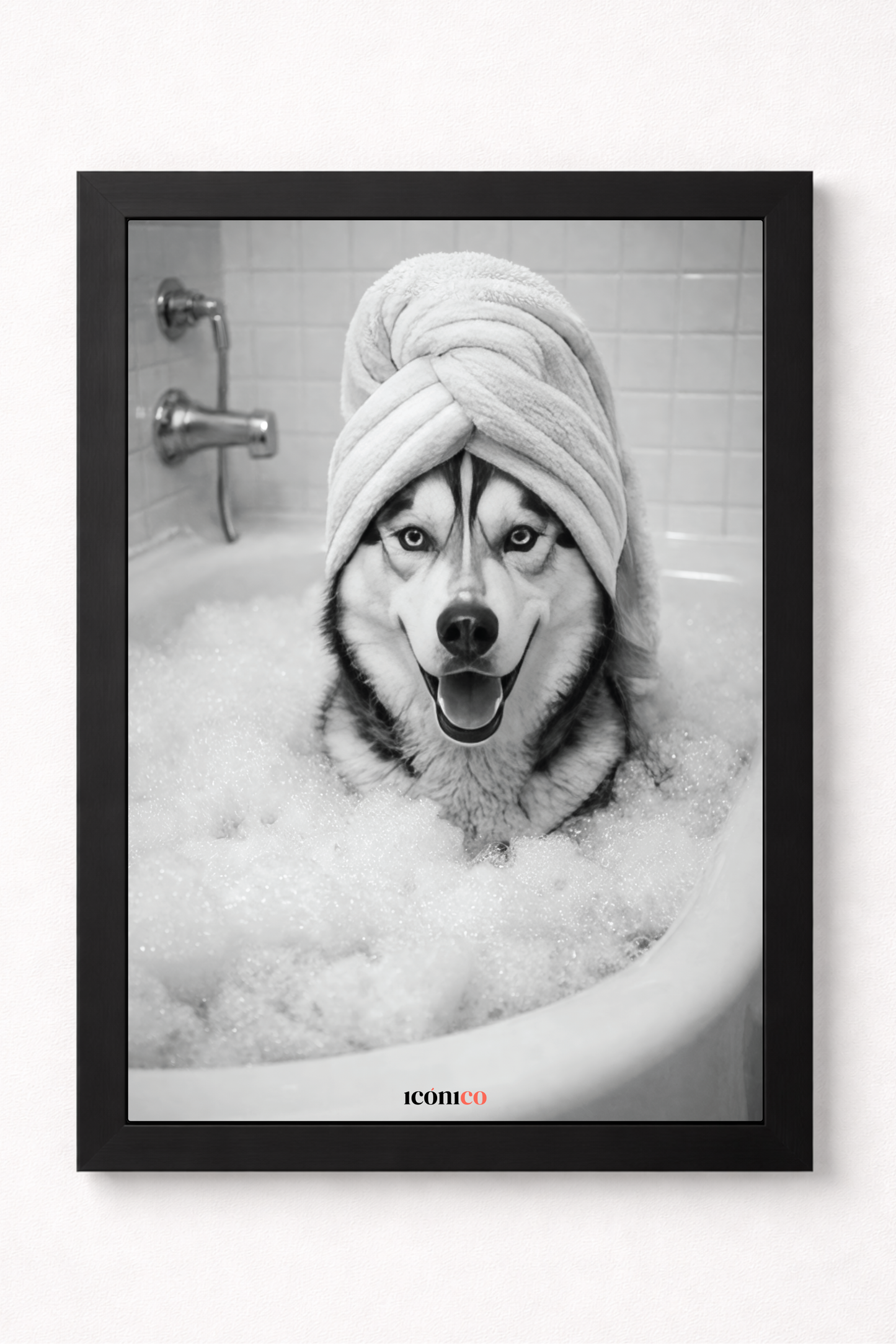 Entre Espuma: Donde Nace la Personalidad 🐾