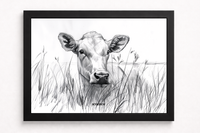 Mirada de Vaca