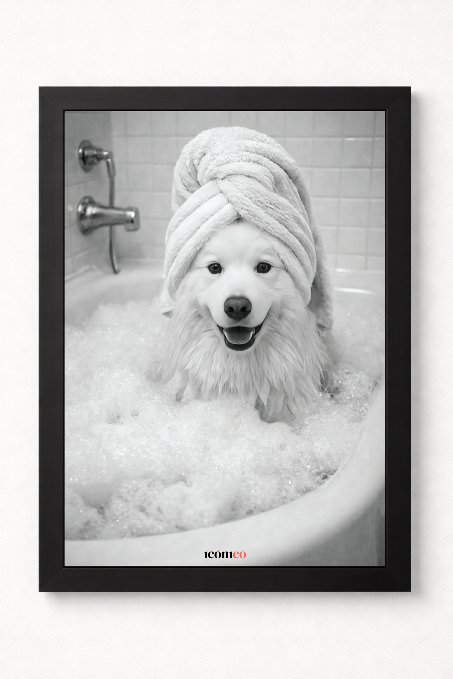 Entre Espuma: Donde Nace la Personalidad 🐾