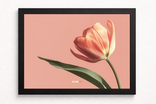 Flores: Tulipán Coral