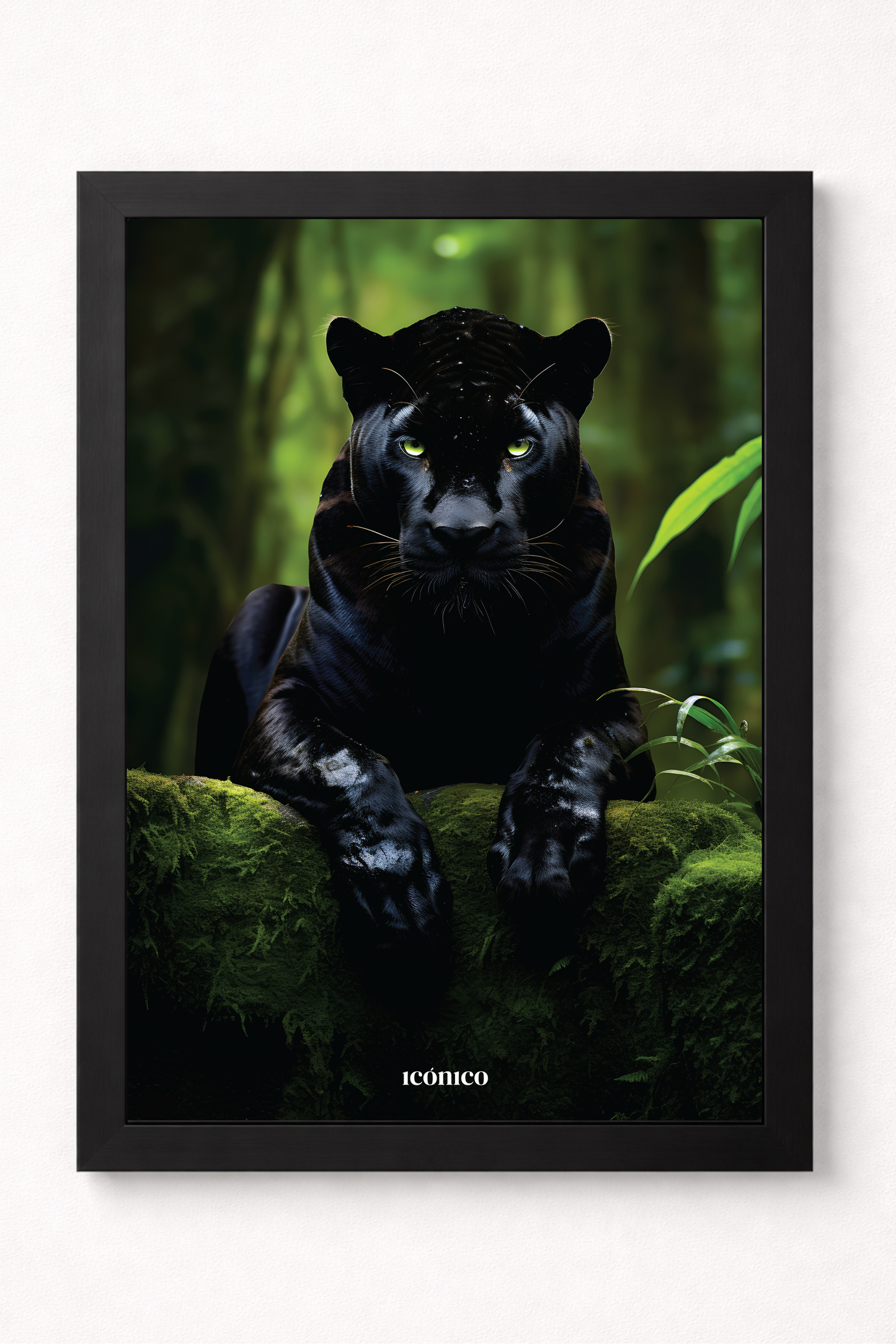Mundo Animal: Pantera Salvaje