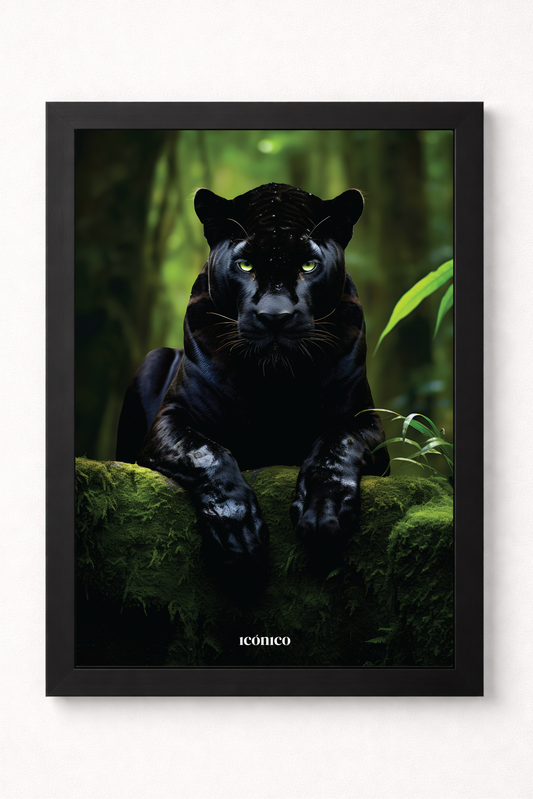Mundo Animal: Pantera Salvaje
