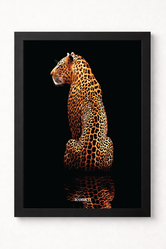 Mundo Animal: Leopardo en el Espejo