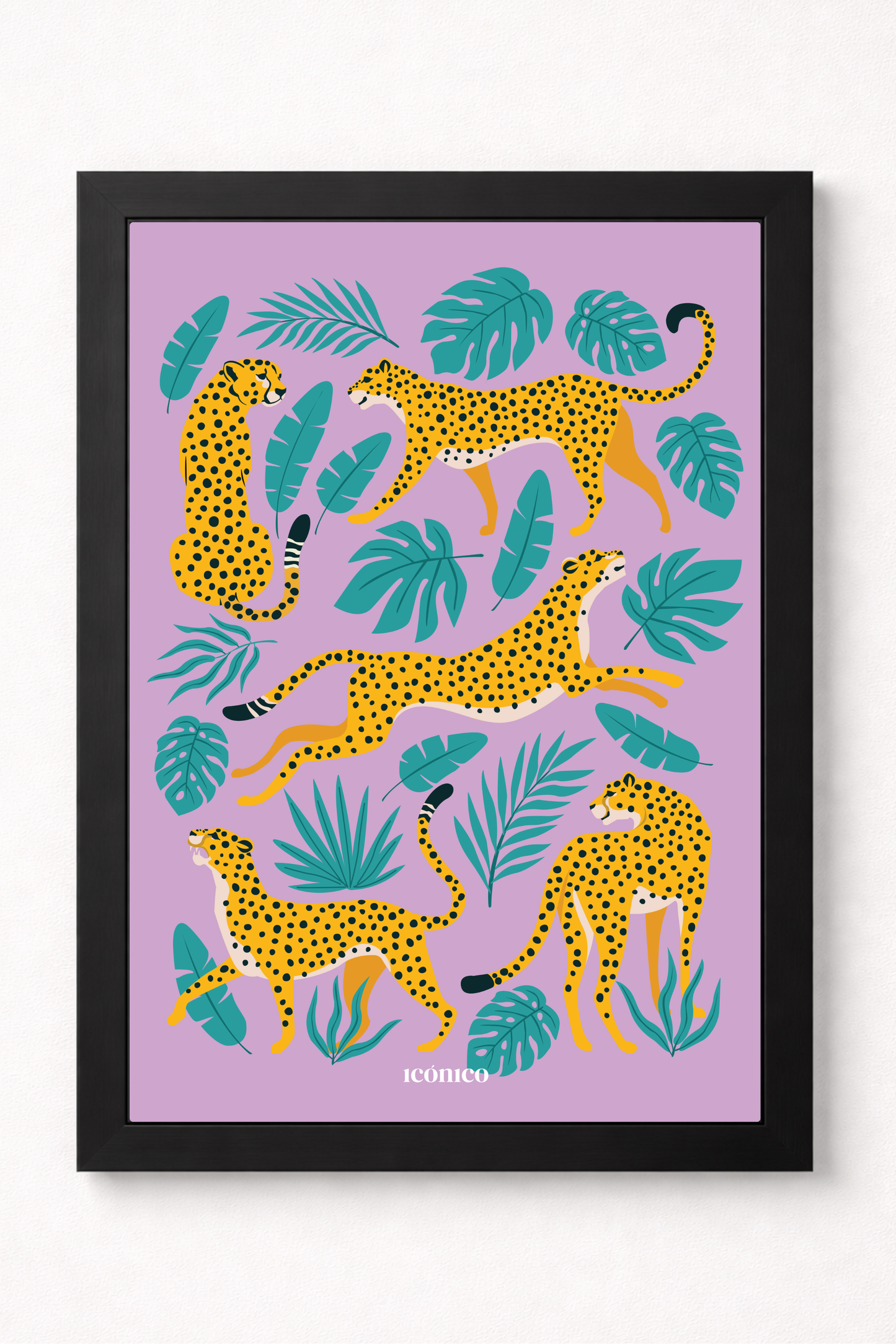 Mundo Animal: Guepardos Tropicales
