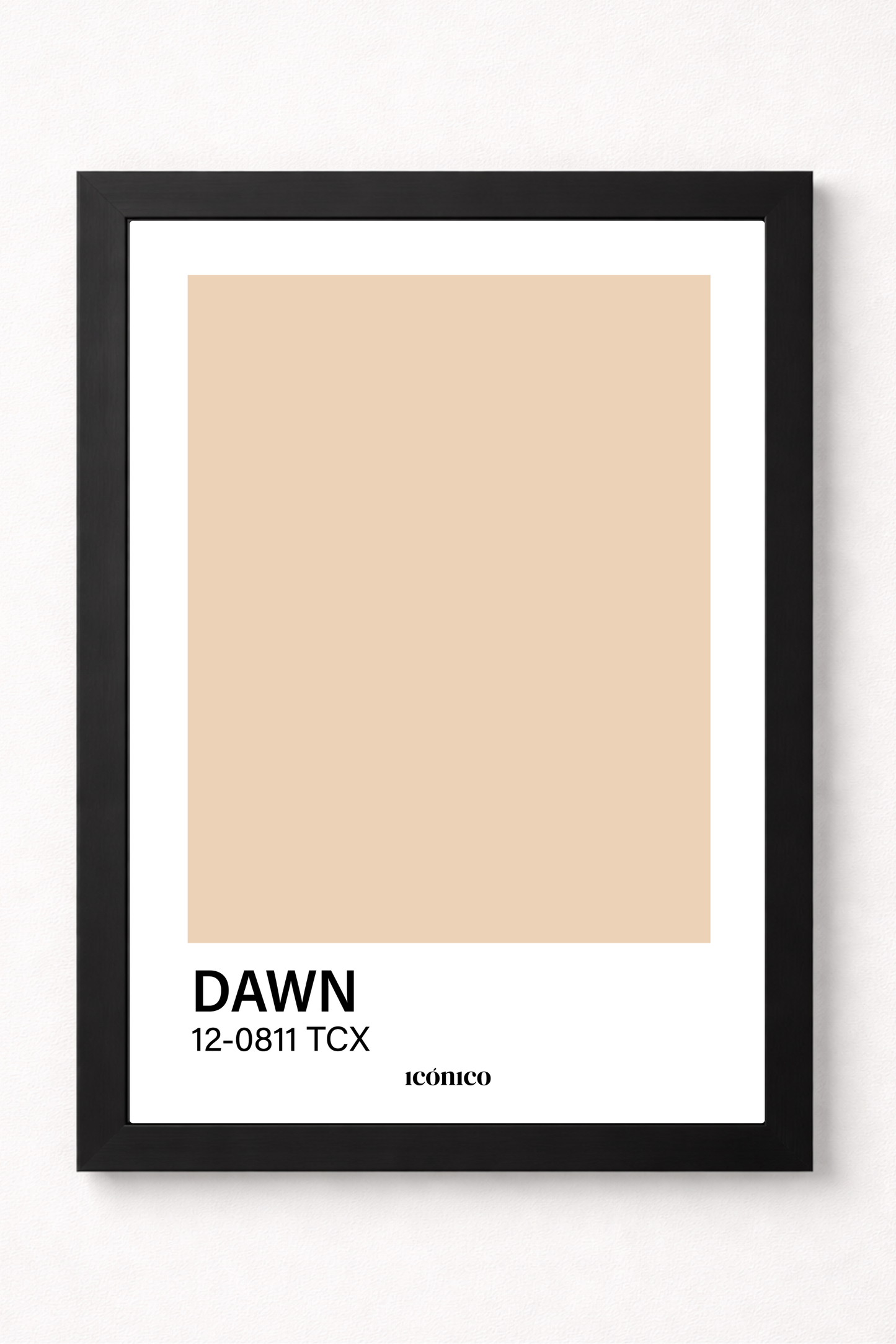 Colores: Dawn