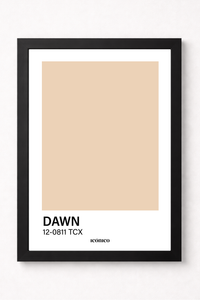 Dawn