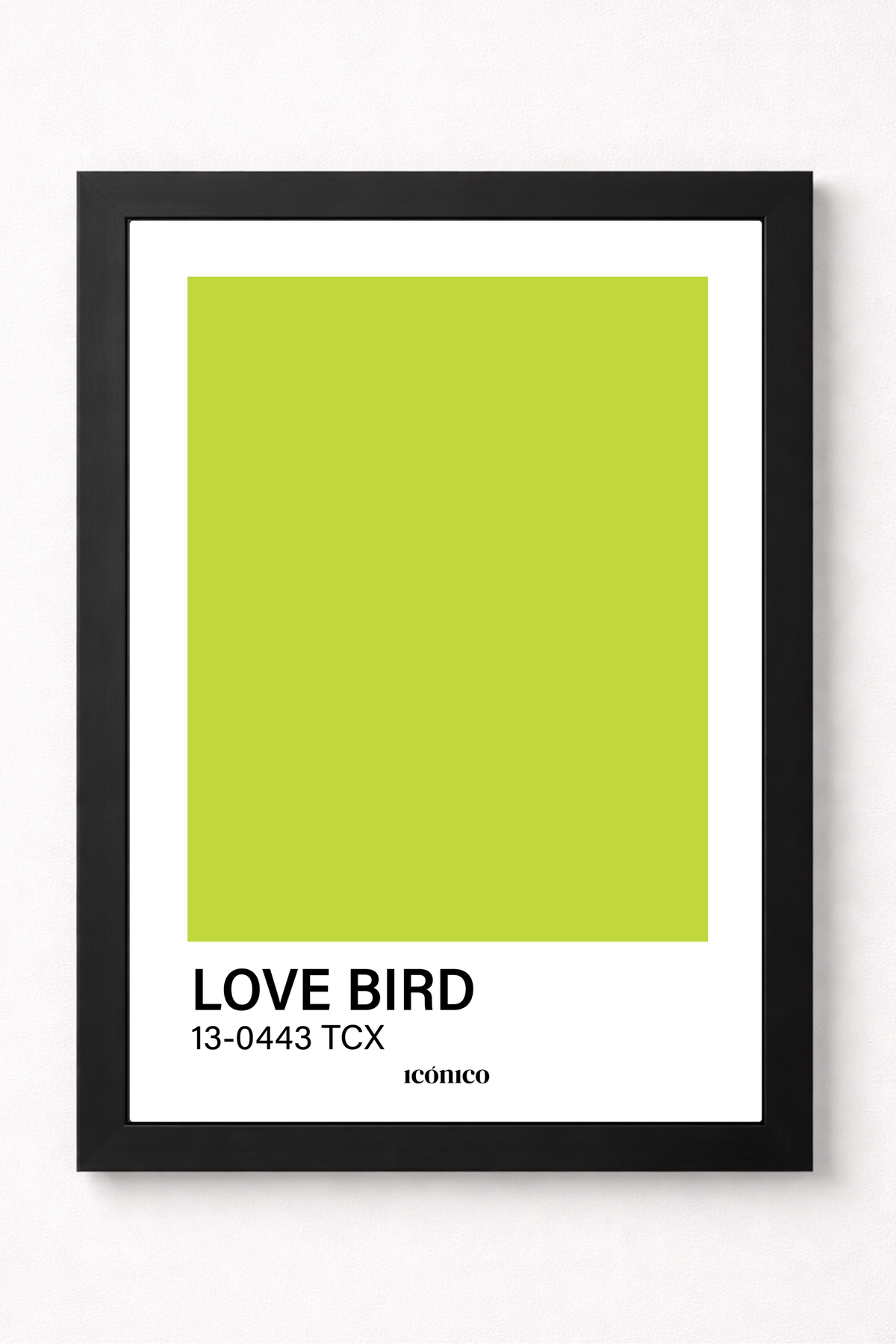 Love Bird