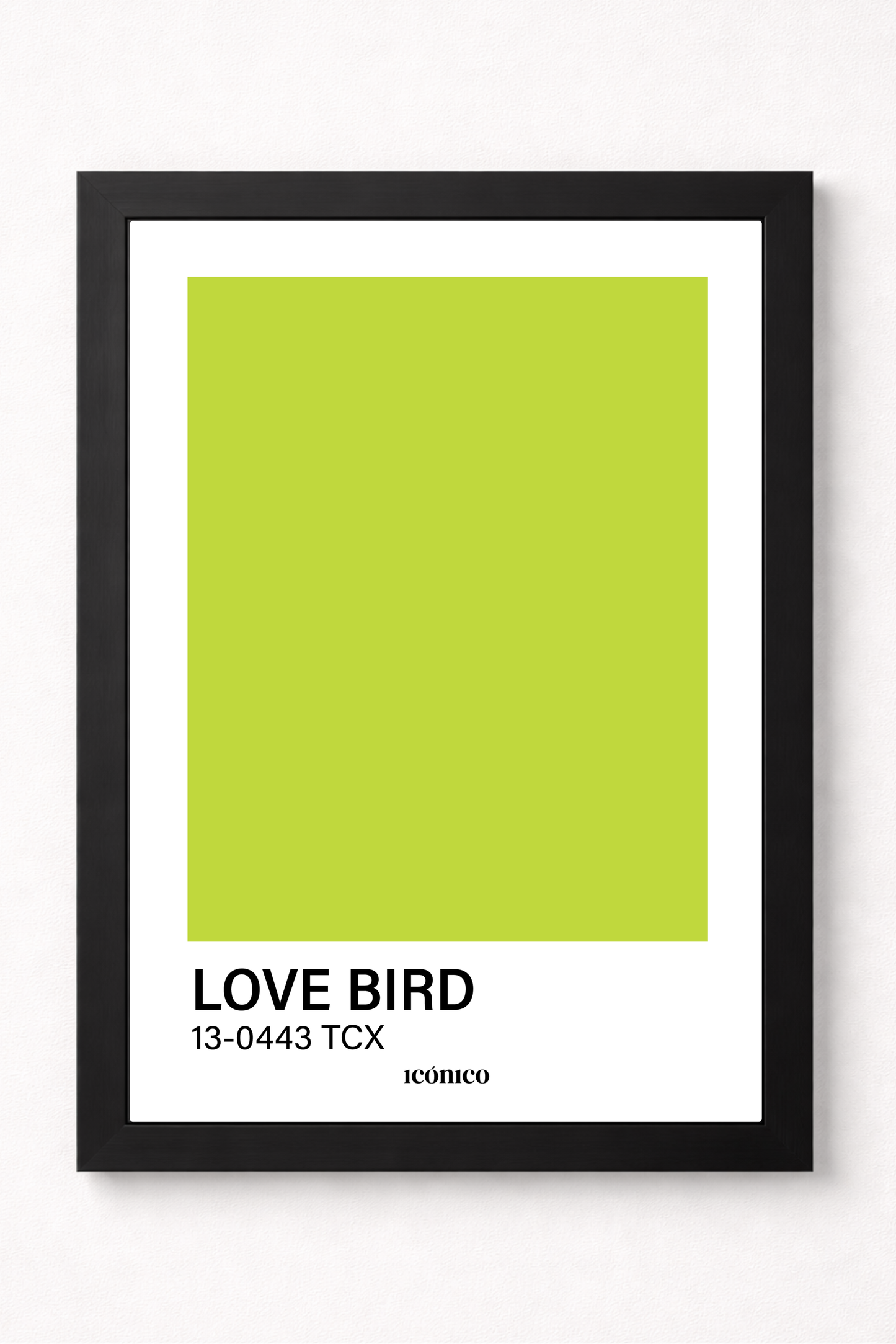 Colores: Love Bird