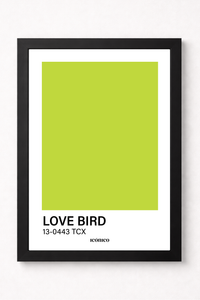 Love Bird