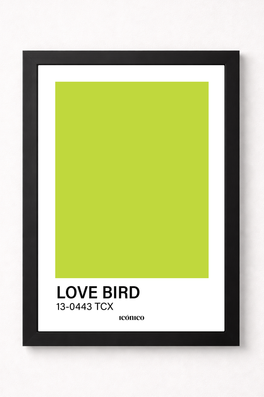 Colores: Love Bird