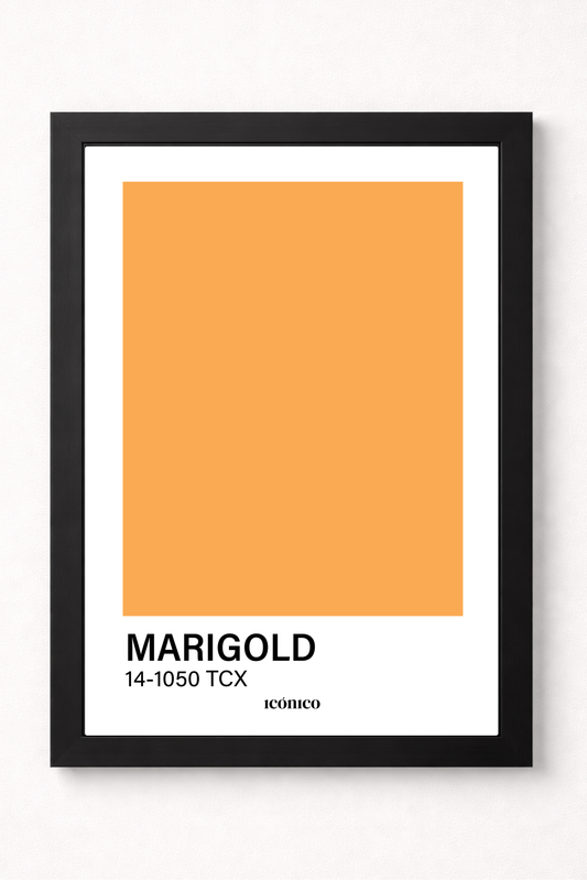 Colores: Marigold