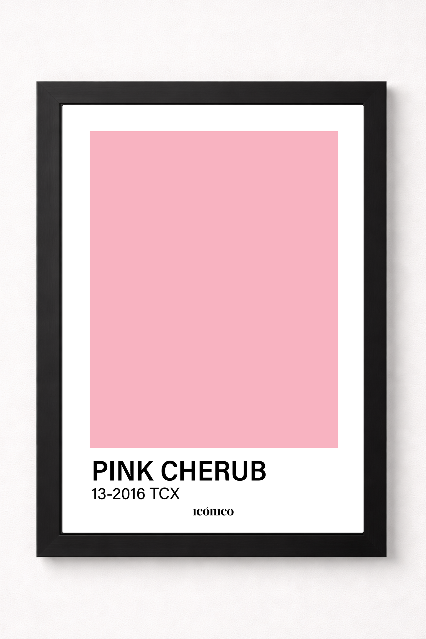 Colores: Pink Cherub