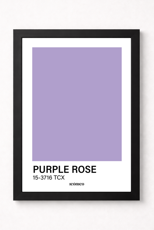 Colores: Purple Rose