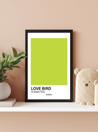 Love Bird