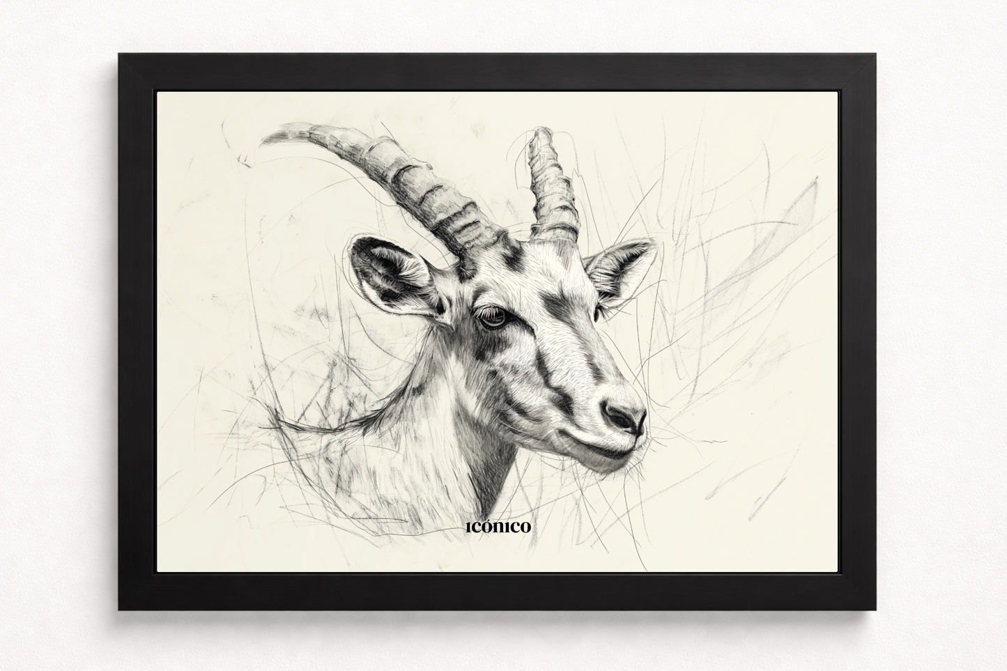 Mundo Animal: Retrato Antílope