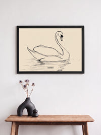 Reflejo Cisne