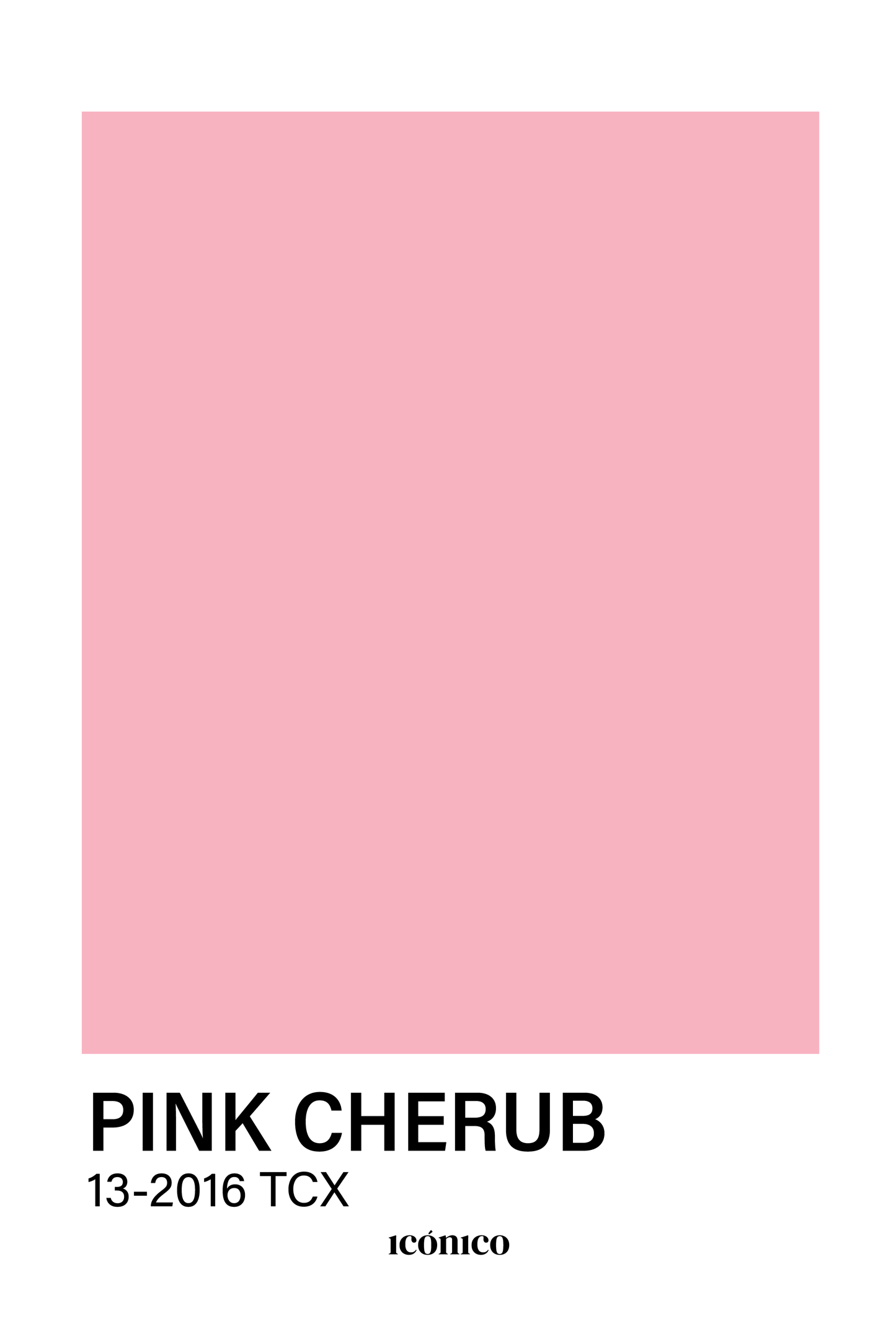Colores: Pink Cherub