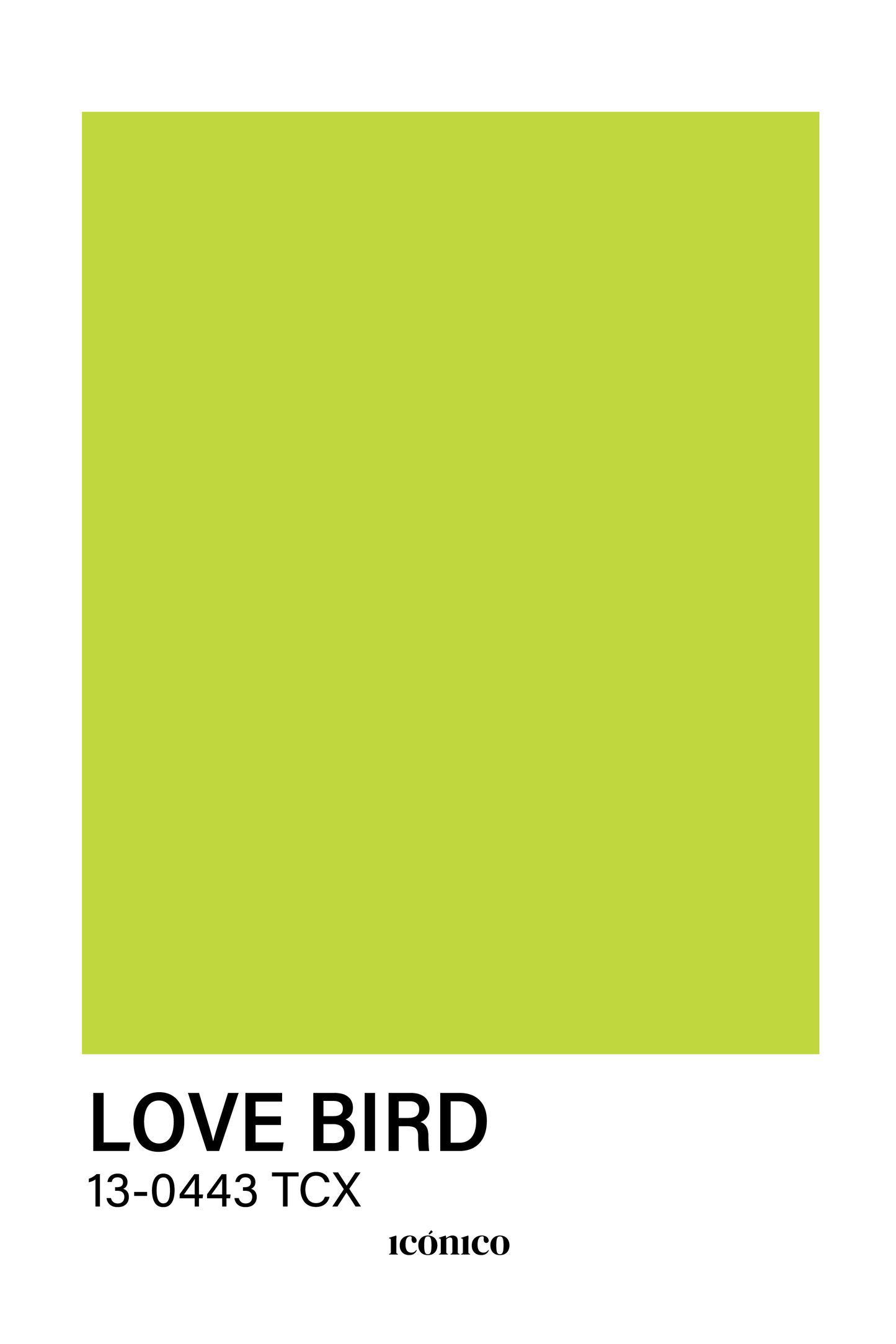 Colores: Love Bird