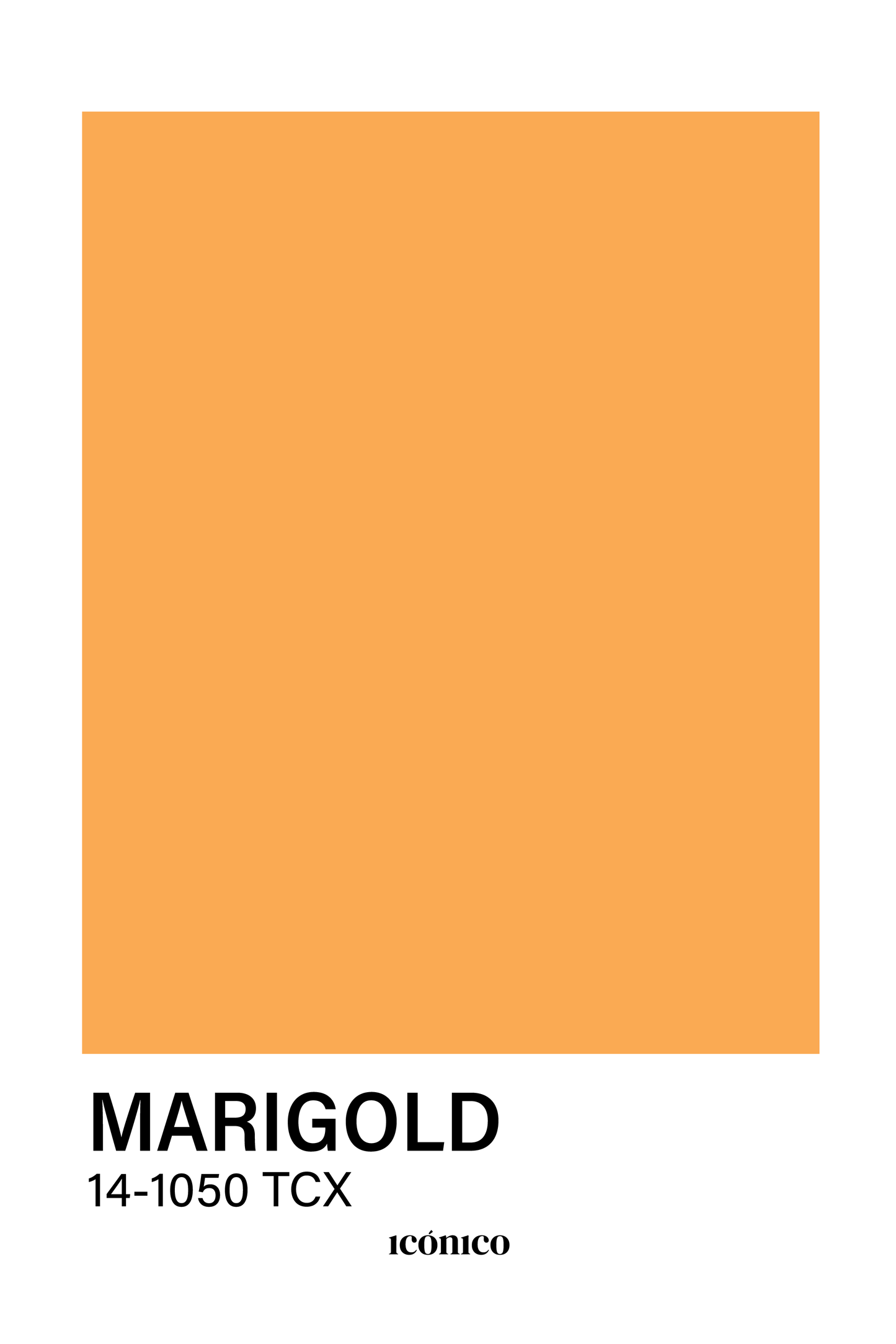 Colores: Marigold