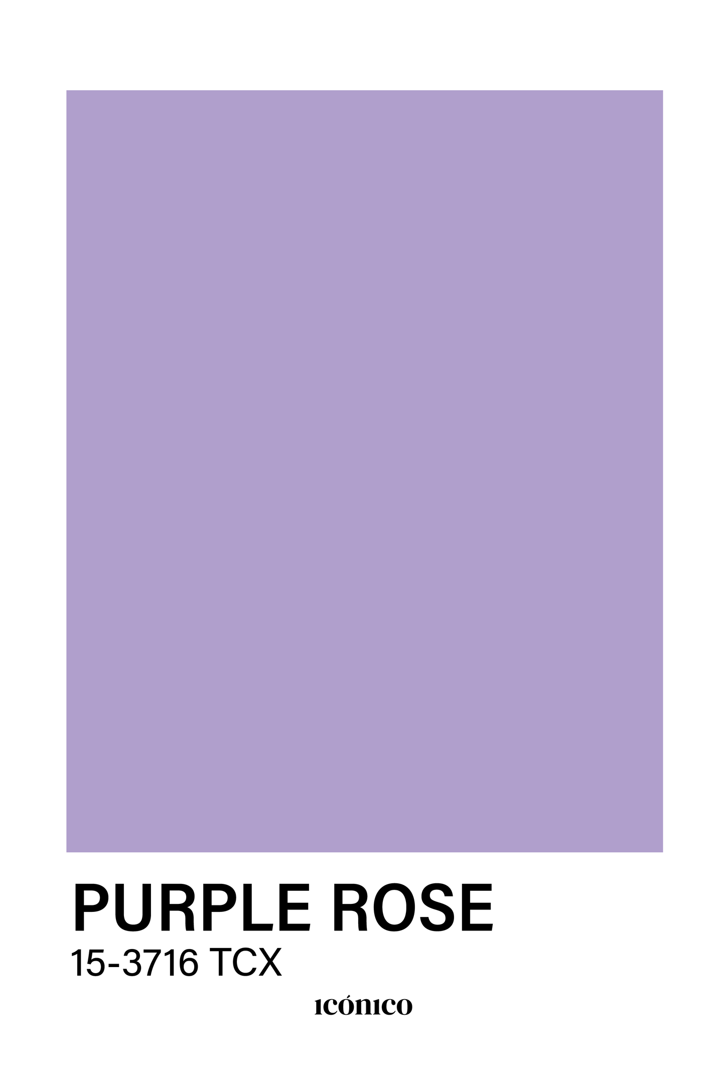 Colores: Purple Rose