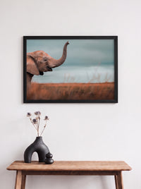 Elefante 🐘