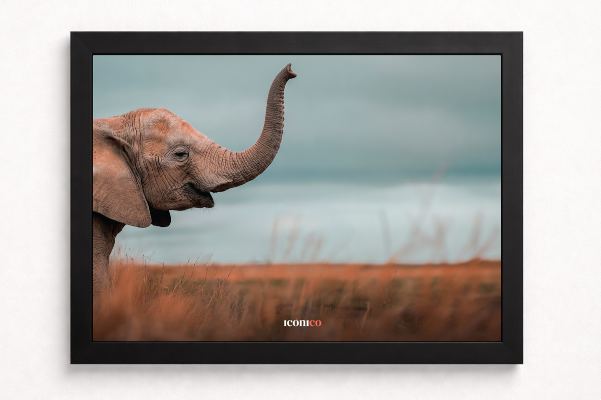 Elefante 🐘