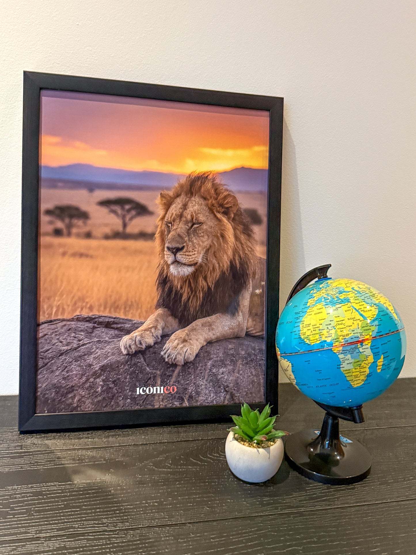 África: León Salvaje 🦁