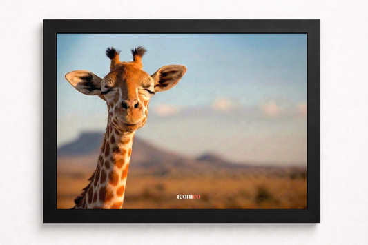 África: Jirafa 🦒