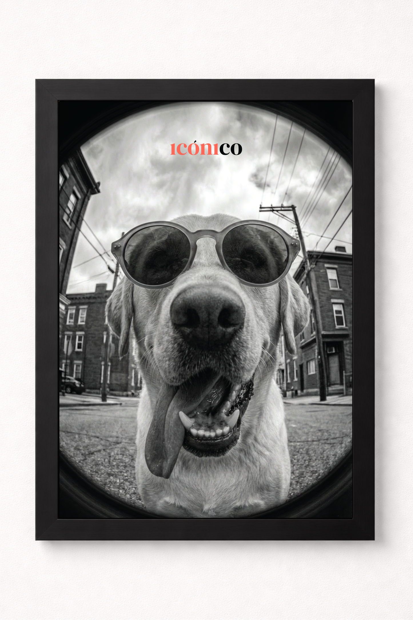 Cuadro Personalizado: Edición Mascotas💡