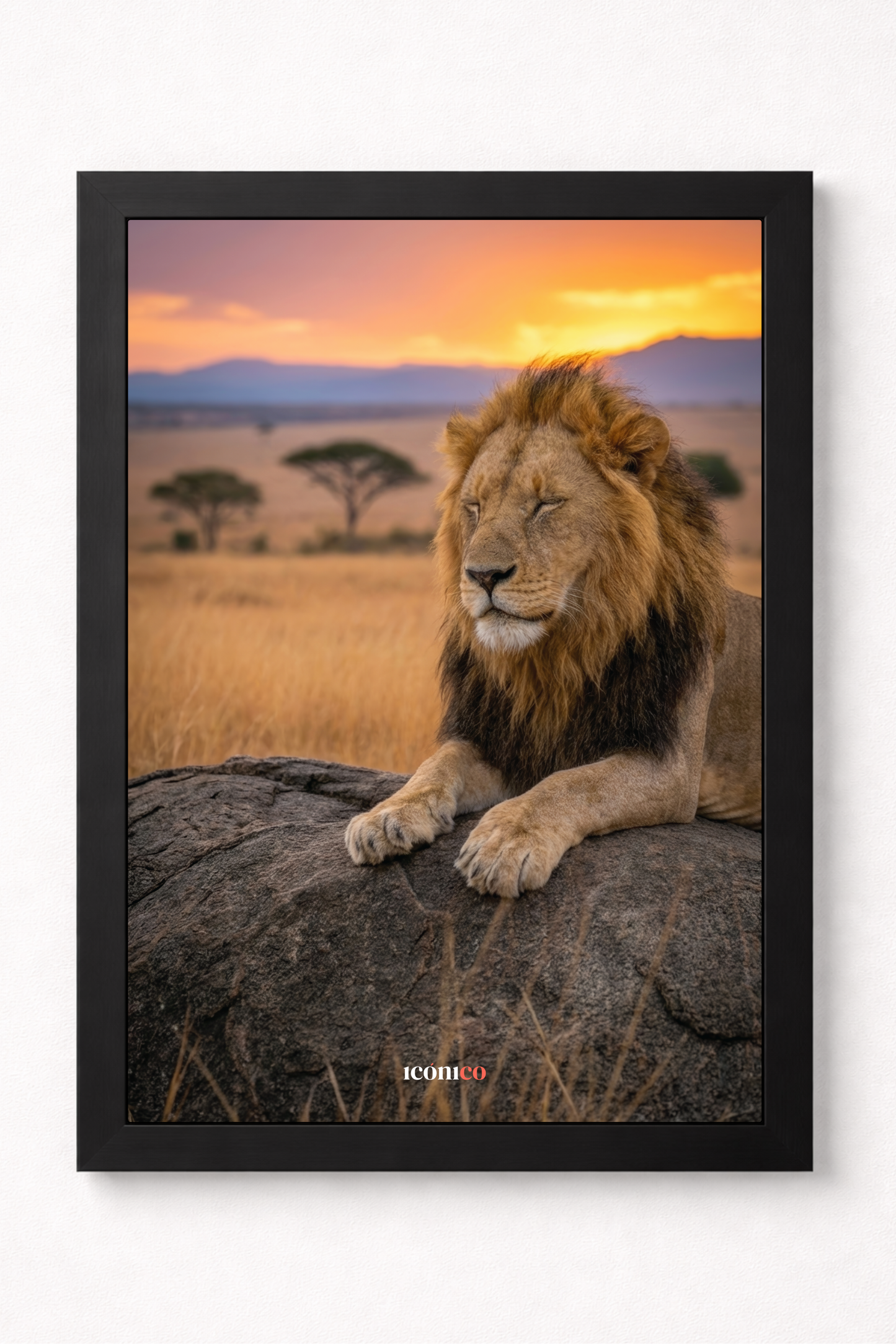 África: León Salvaje 🦁