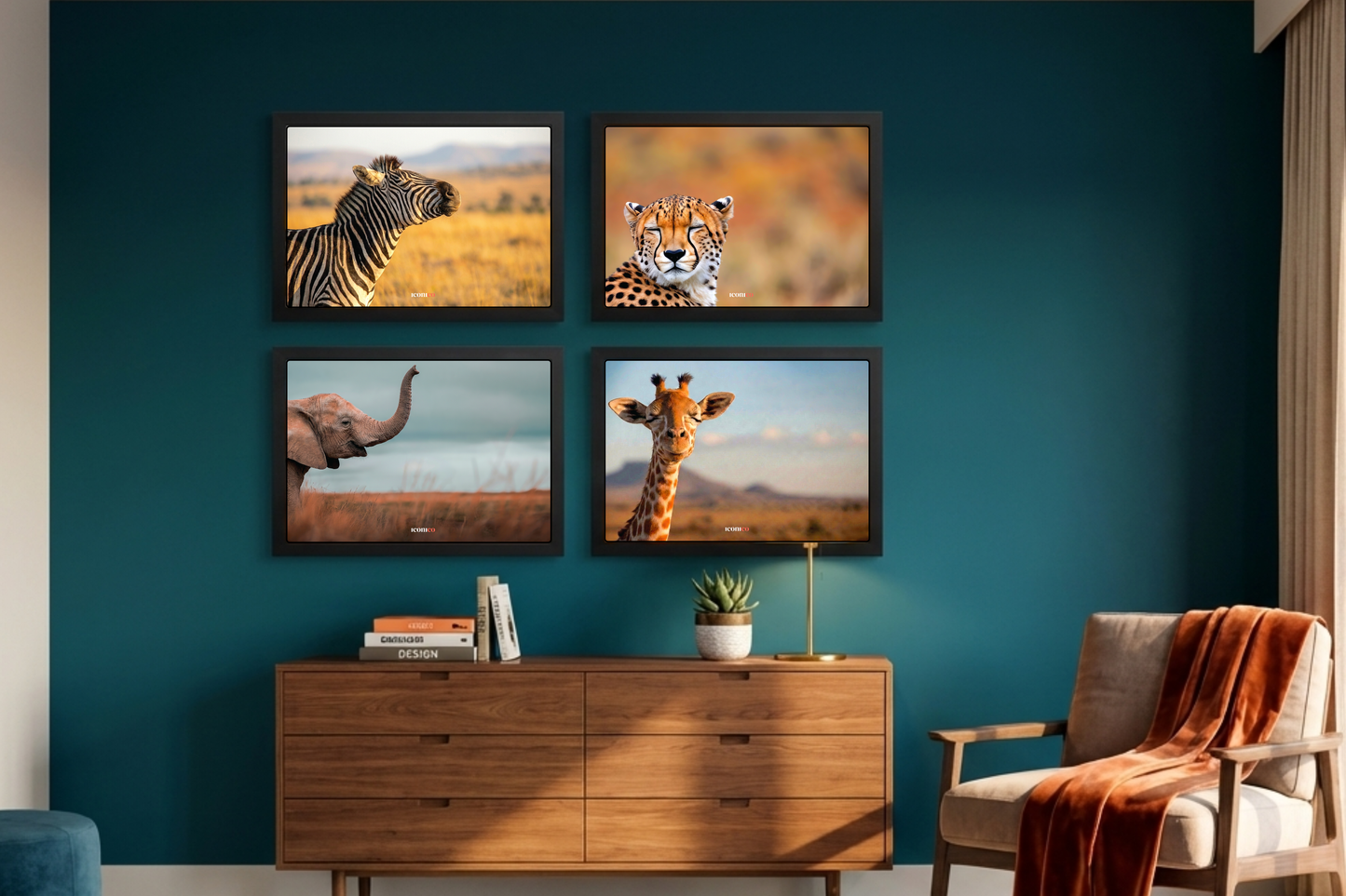 África: Cebra 🦓