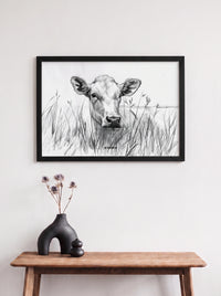 Mirada de Vaca